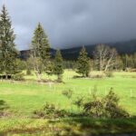 WhatsApp Image 2021-06-01 at 14.59.05 (12)